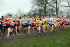 Senior boys 2019 New Balance English Schools Cross Country Champs, Temple Newsam, Leeds. Photo:  David T. Hewitson/Sports for All Pics
